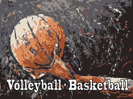 Volleyball-Basketball